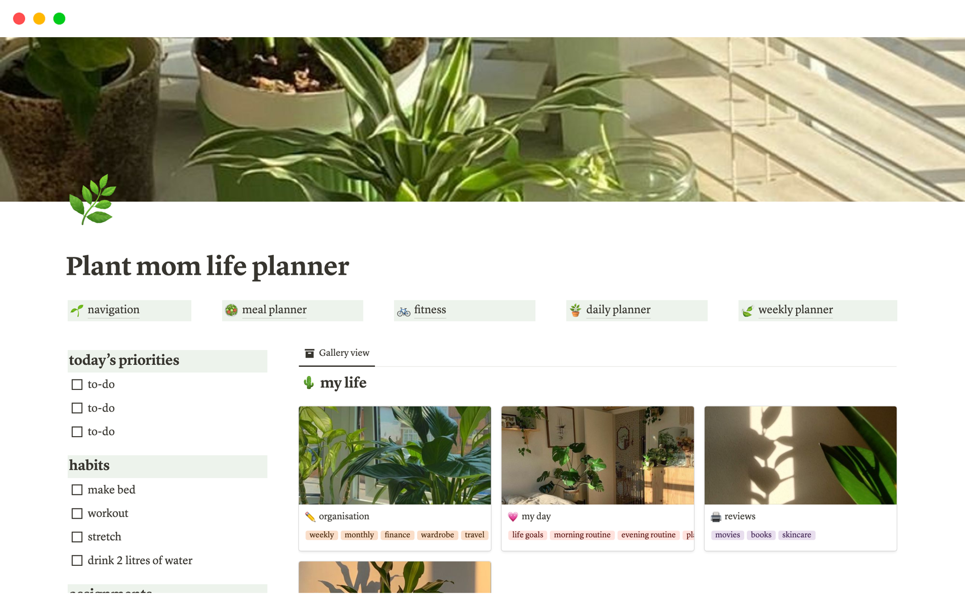 Eine Vorlagenvorschau für Aesthetic plant life planner